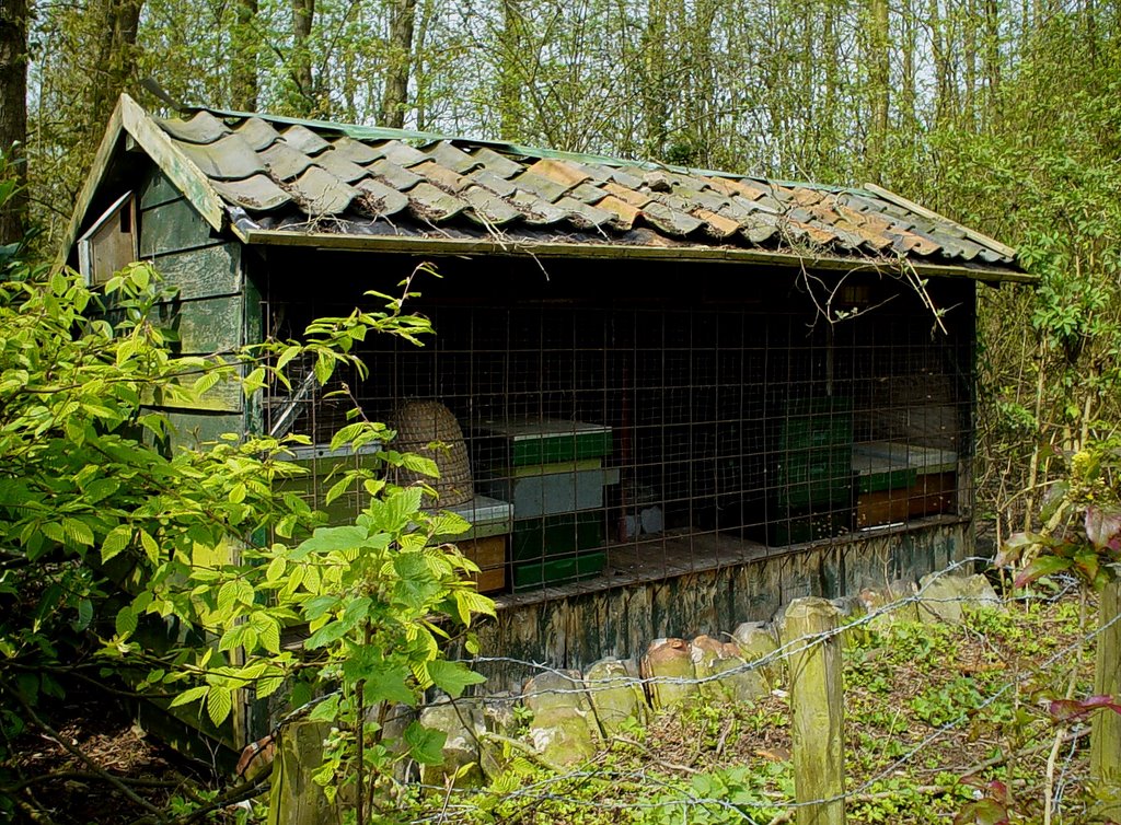 Bijenhal in Natuurtuin "De Robbert", De Kemenadelaan, Helmond.