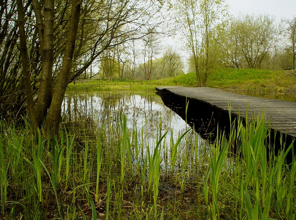 De loopbrug bij de grote vijver van Natuurtuin "De Robbert", De Kemenadelaan, Helmond.