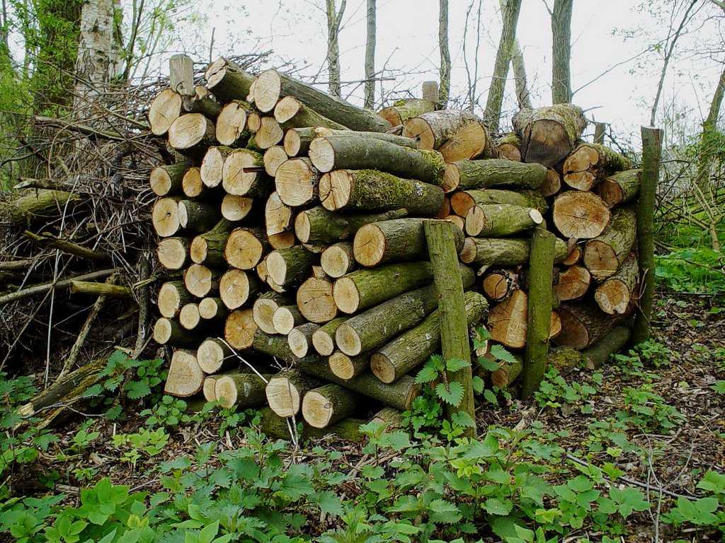 Houtstapel in Natuurtuin "De Robbert", De Kemenadelaan, Helmond.