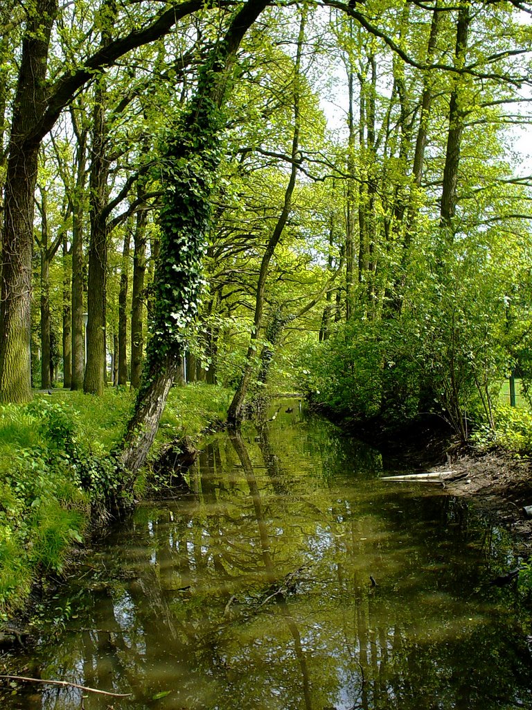 Sloot, Warande, Helmond