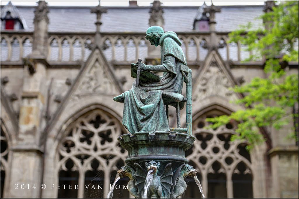 Holland Close Up III [PvL]