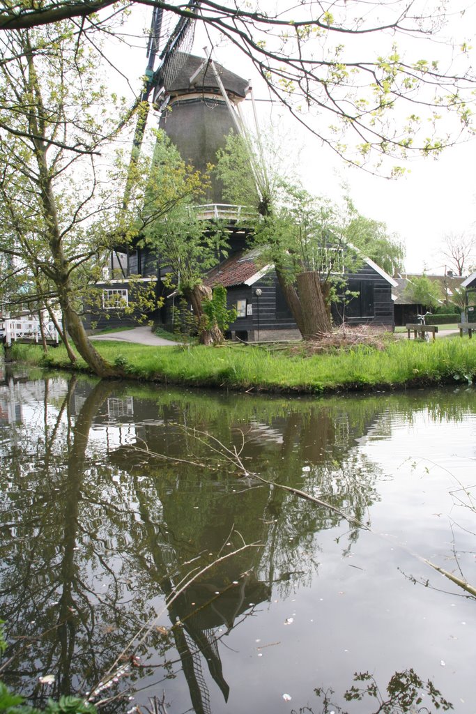 Windmill `De Ster` reflected in spring; Utrecht