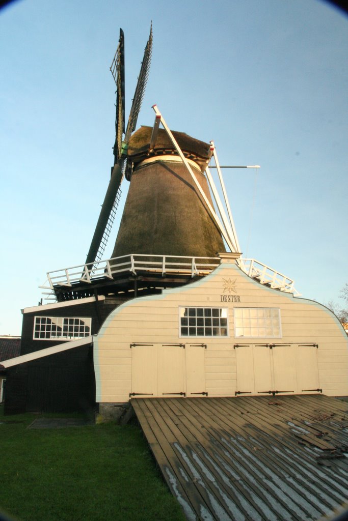 Windmill `De Ster` (`The Star`)  Saw-mill at Leidsche Rijn