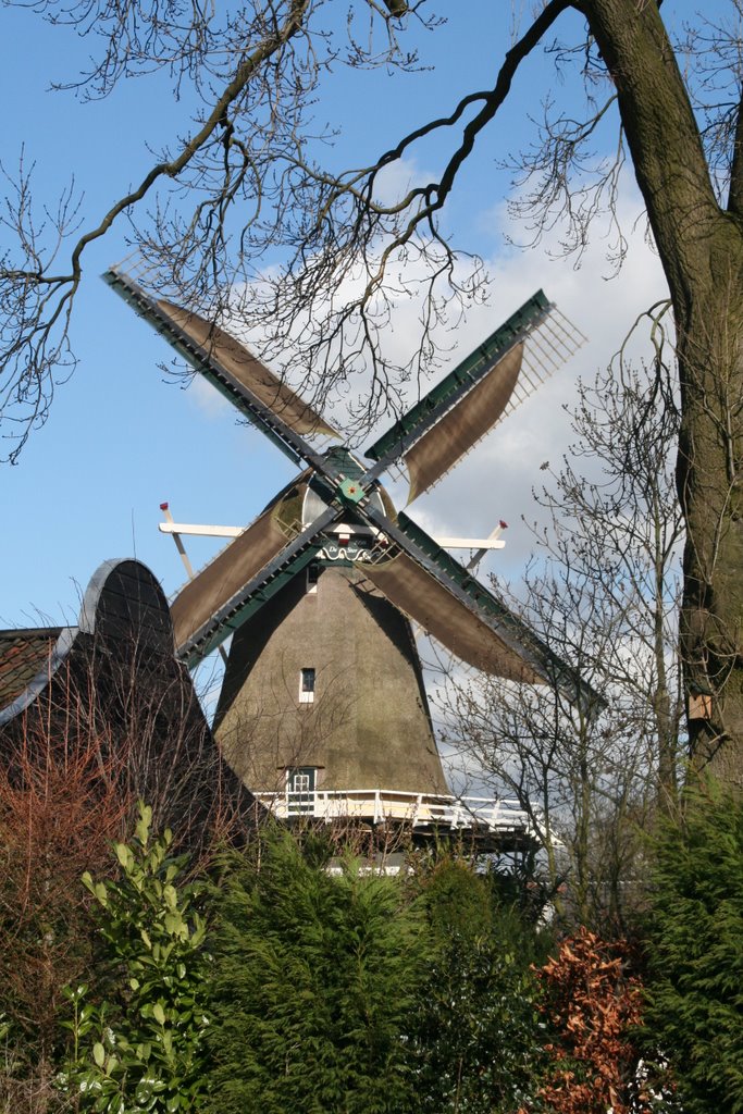 Windmill `De Ster` (`The Star`) with windblankets; Utrecht