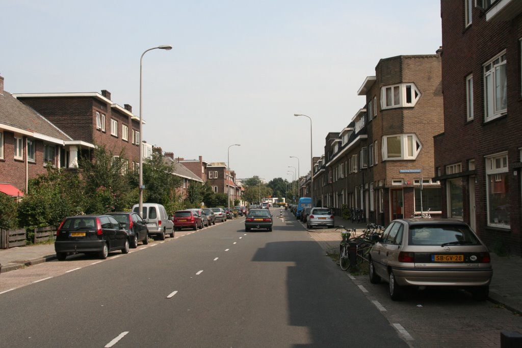Pieter Nieuwlandstraat t.h.v. Kamerlingh Onnestraat in Tuinwijk-Oost