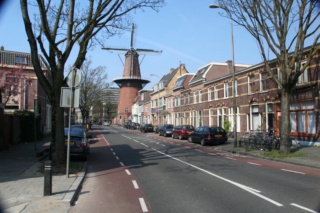 Adelaarsstraat met molen Rijn en Zon, Utrecht.