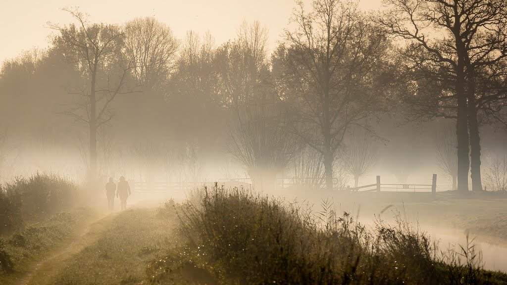 Fabulous Fog