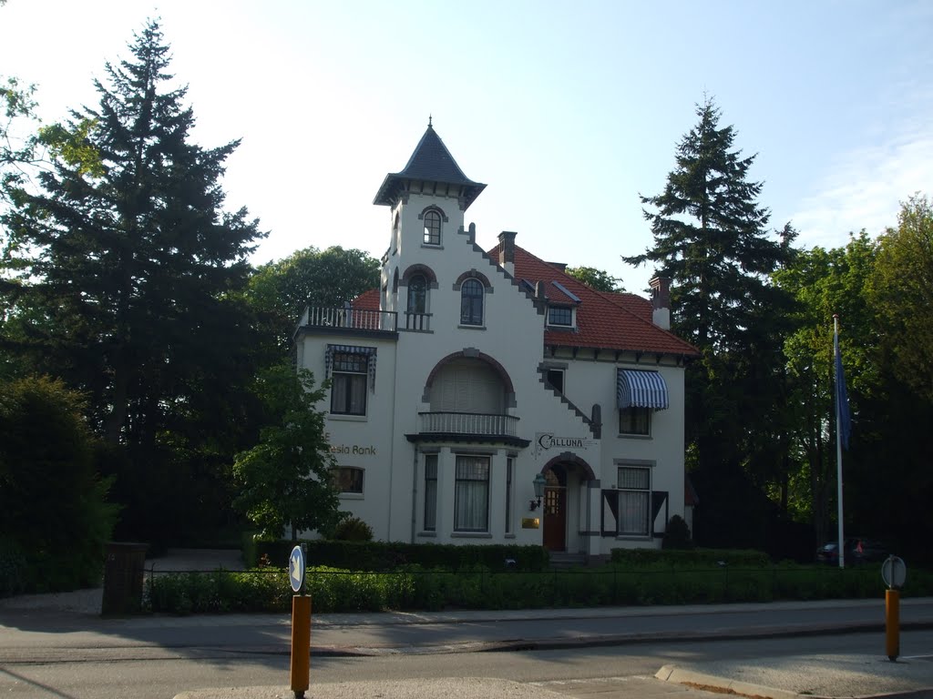 Villa Calluna