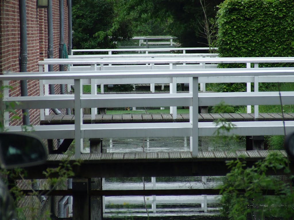 bruggetjes bij de karpervijver