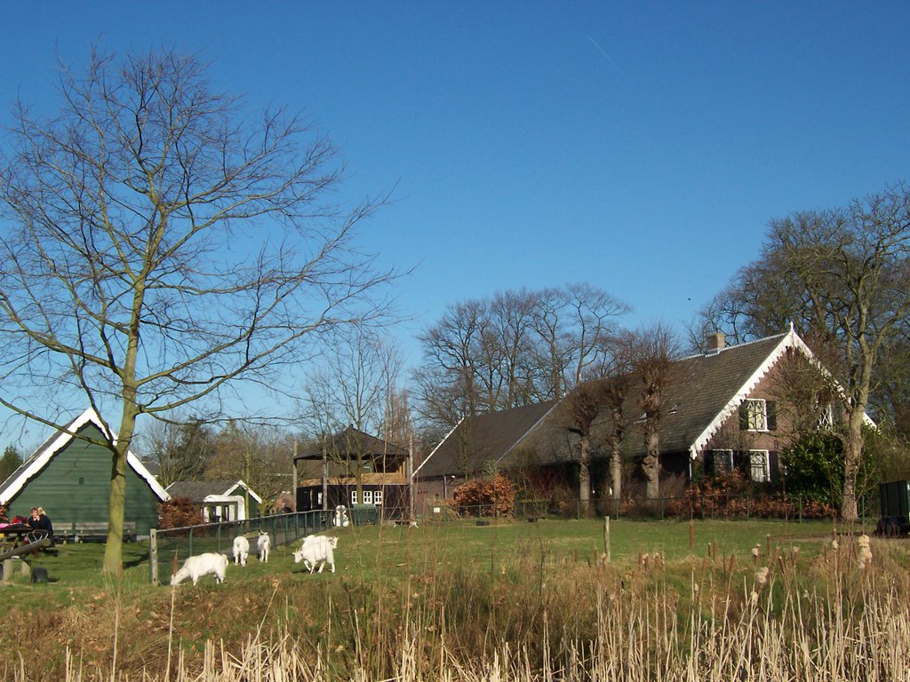 Kinderboerderij Zeist