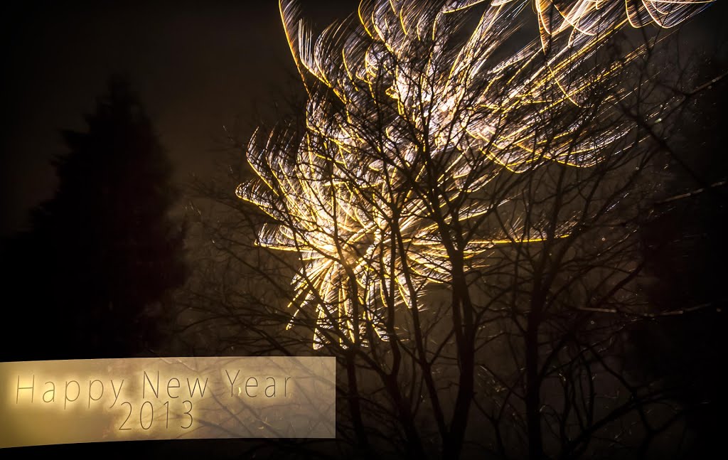 Happy New Year 2013