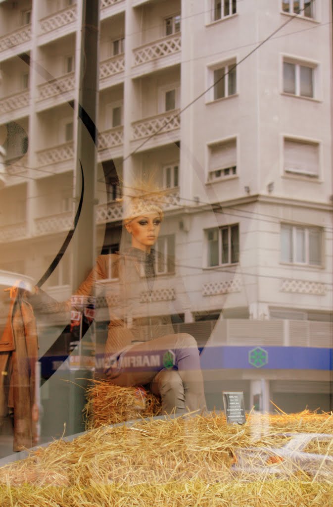 Illusion  in the showcase