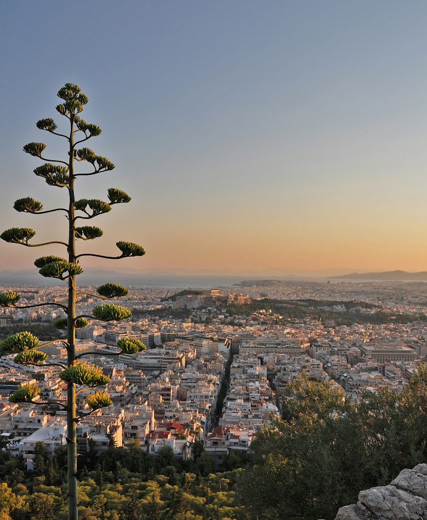 Athens from Lycabettus Hill