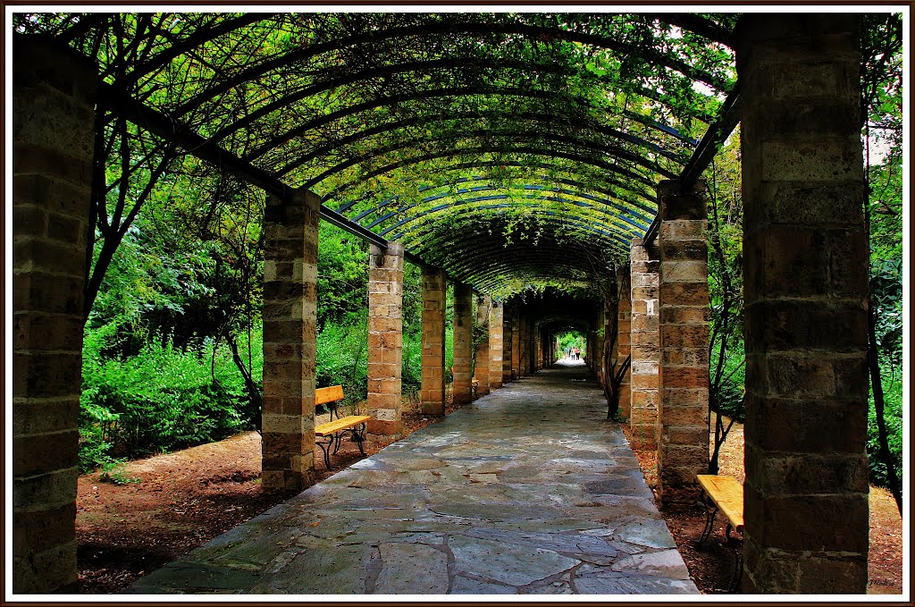 Secret garden...