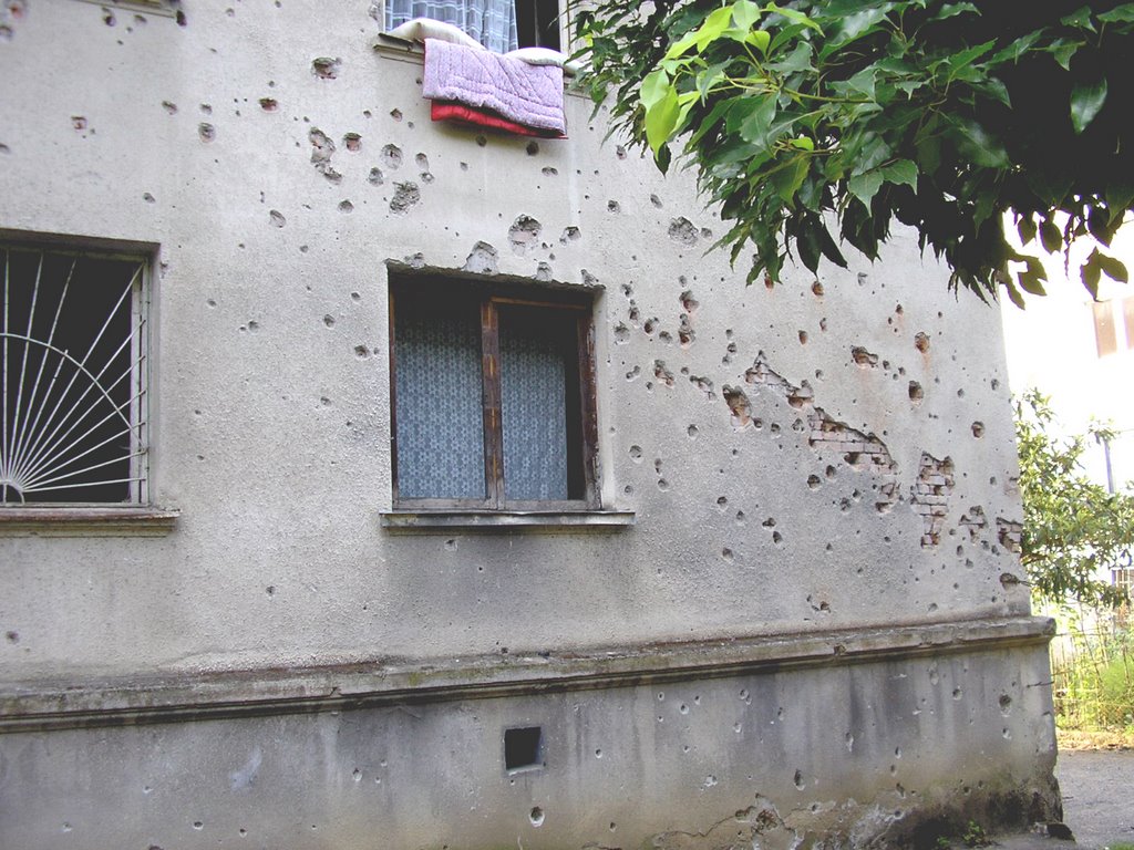 Sukhumi Fragment