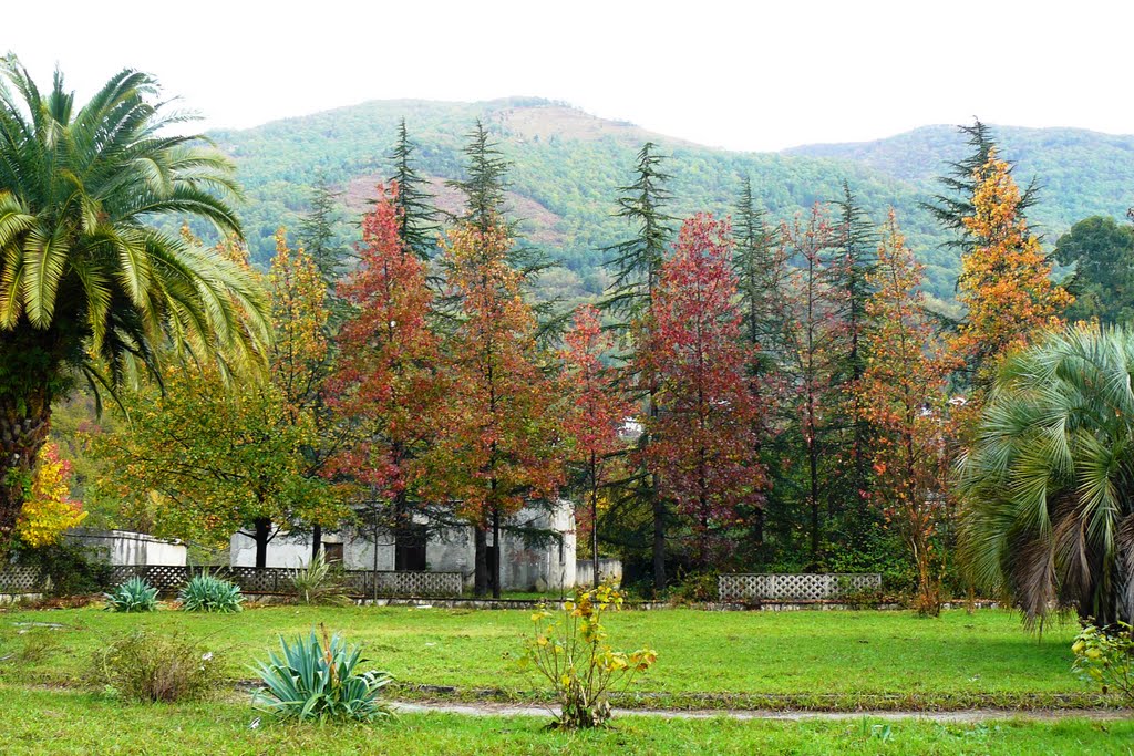 Гагра,улица Демерджипа