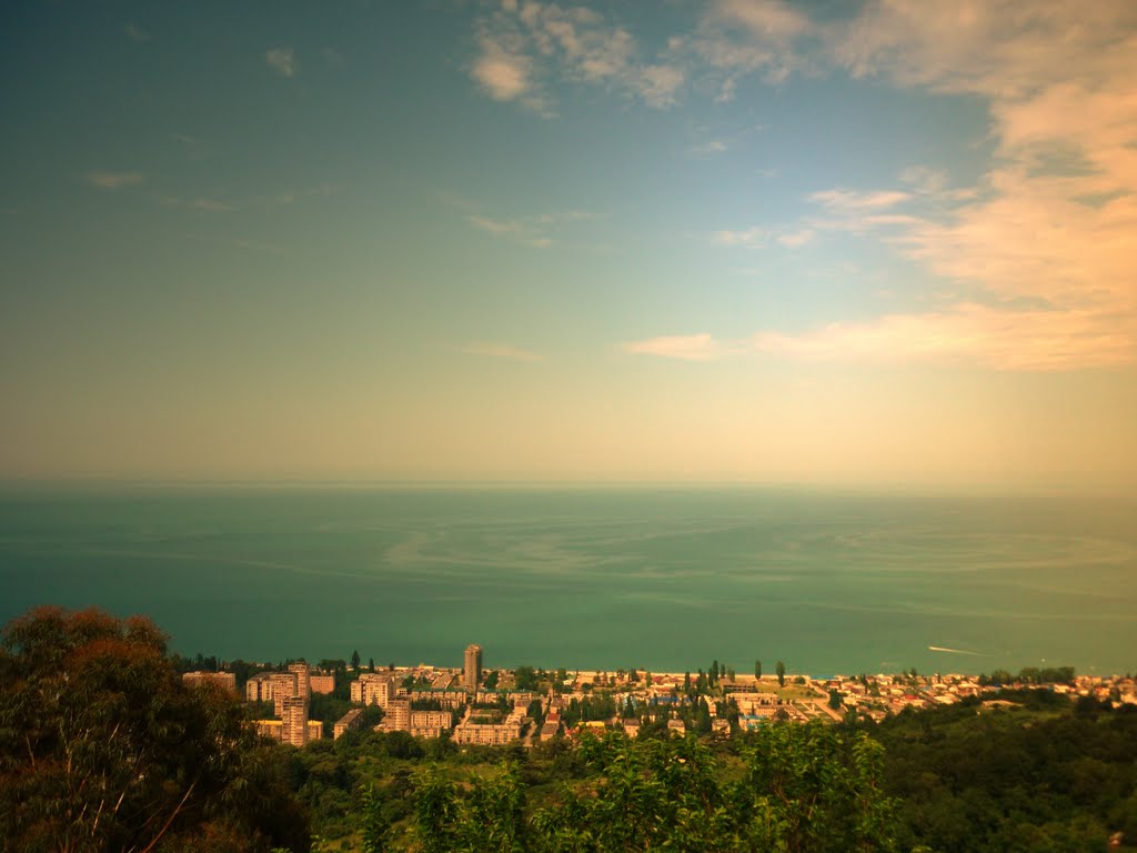 Gagra. Top view