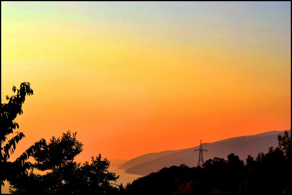 Golden Sky