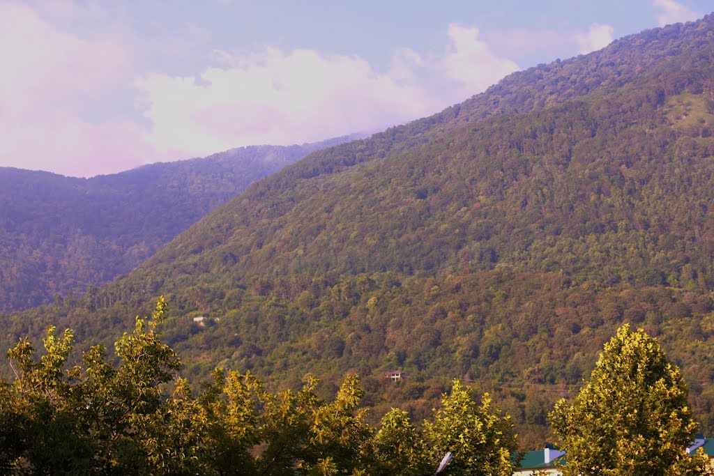 Gagra
