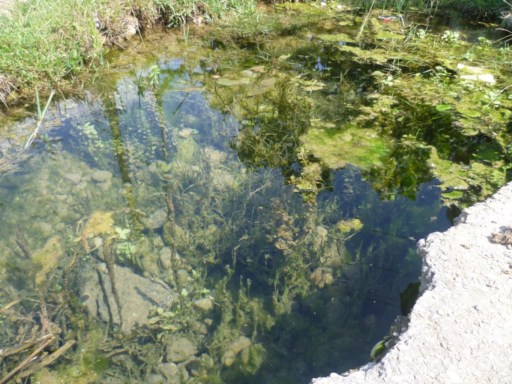 Красивая лужа на дороге