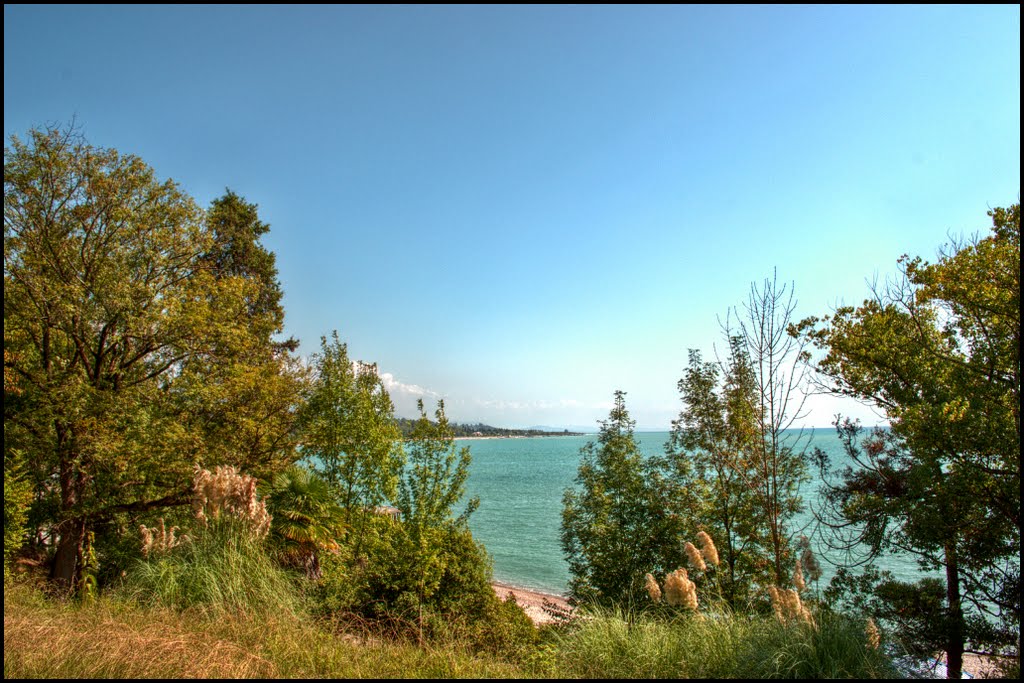 The view from the a high hill in the park of the city Gudauta.