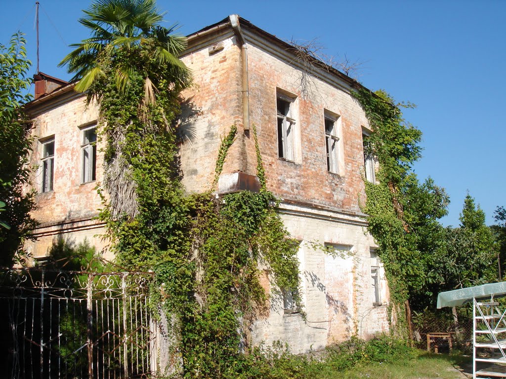 The ruins