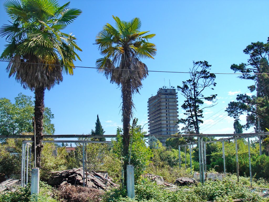 The ruins