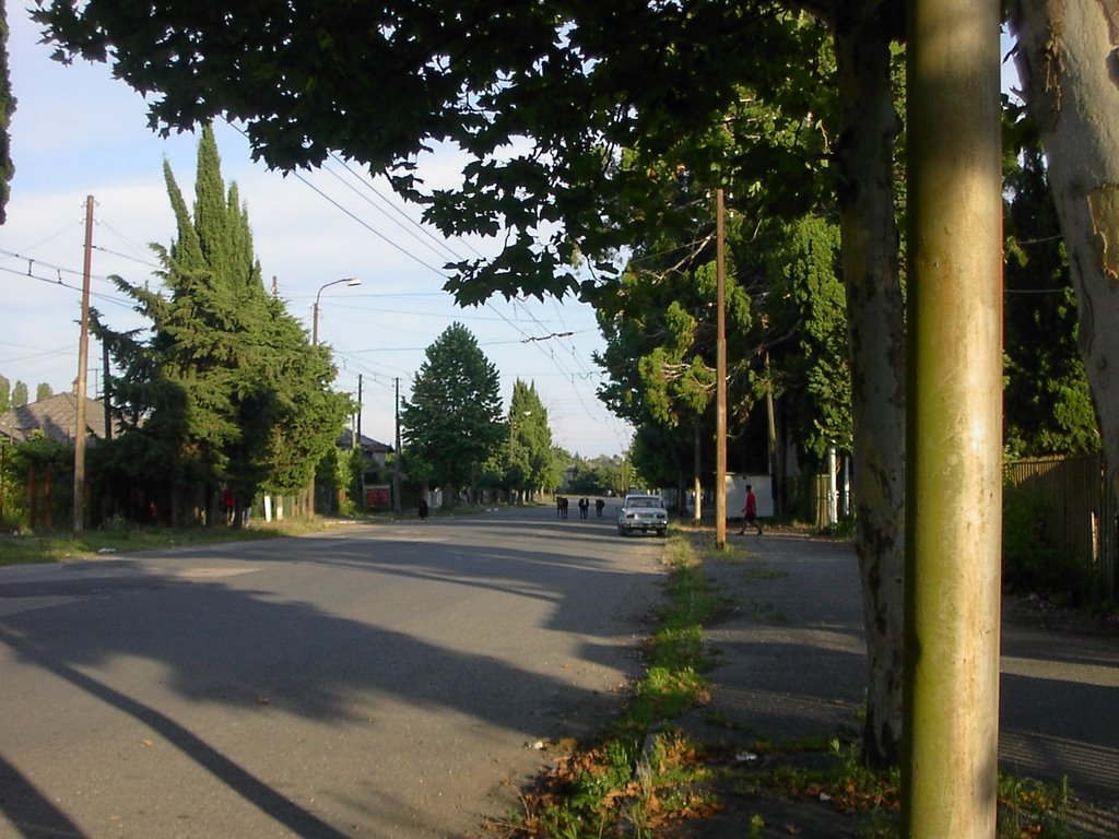 Бзыбское шоссе в сторону центра