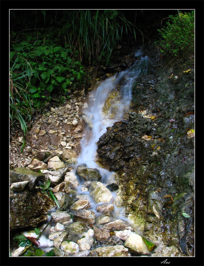 Abkhazia. New Athos. Falls near to railway station "Psyrdzha".