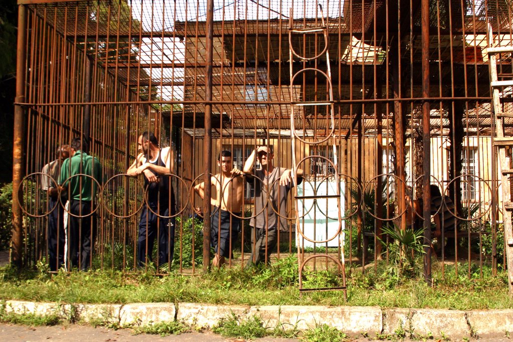 Psy-Hosp Cage.Sukhumi GEO 2