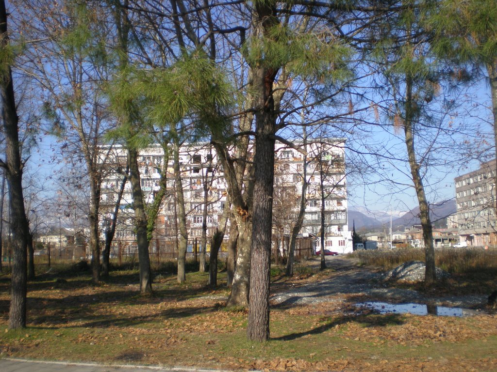 Prospekt Mira 186