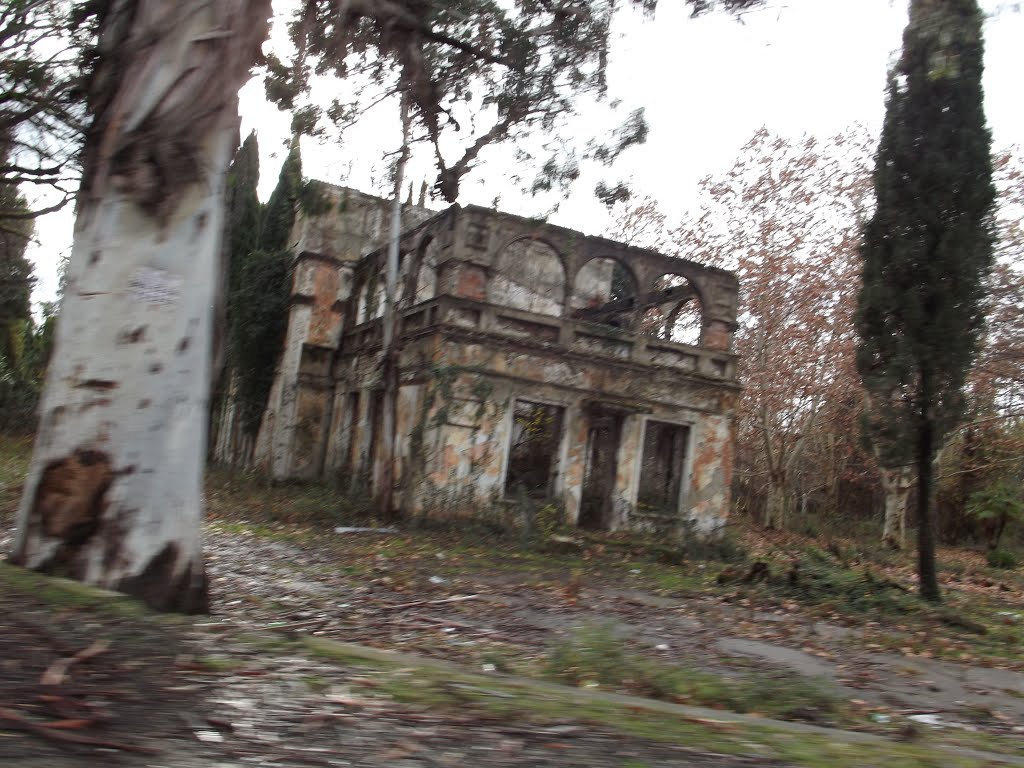 Terkedilenler, Sohum / Abhazya M.O.C