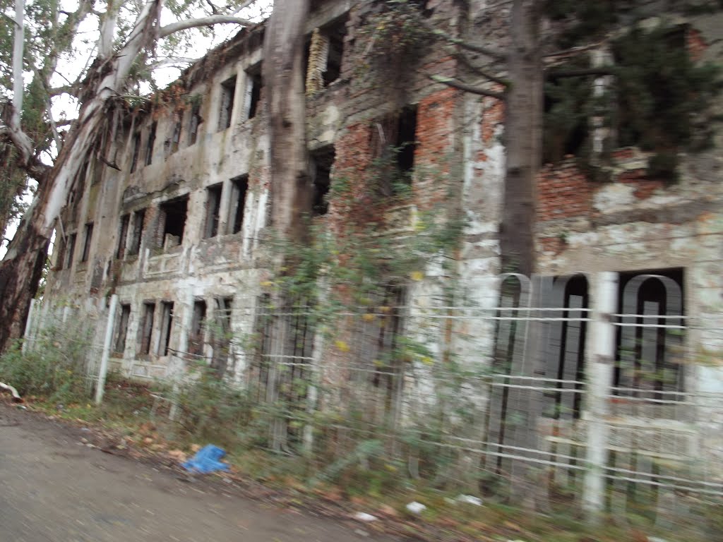 Akhali Atoni