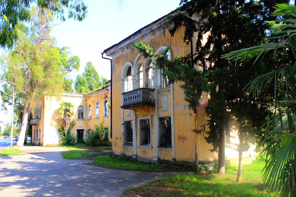 Эхо войны