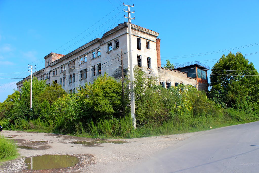 Руины