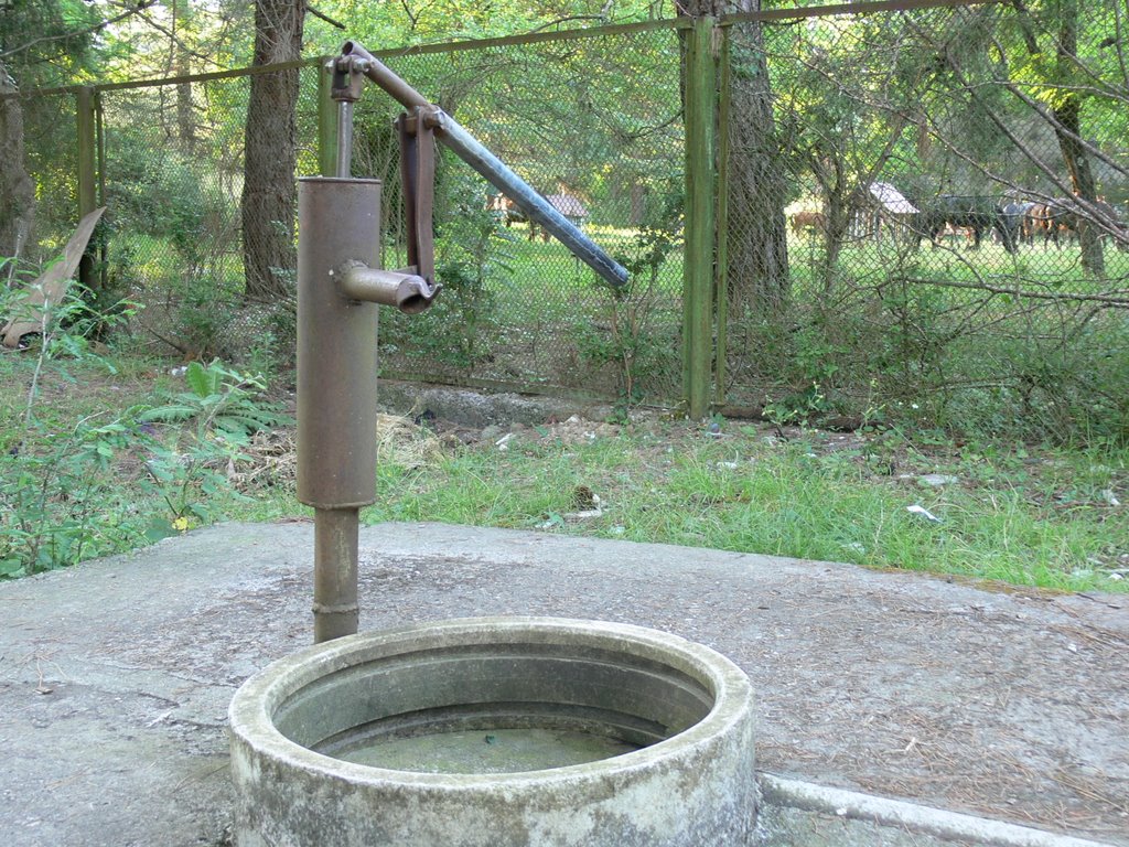 Раритетная колонка на улице Гочуа. 19 июня 2006 года