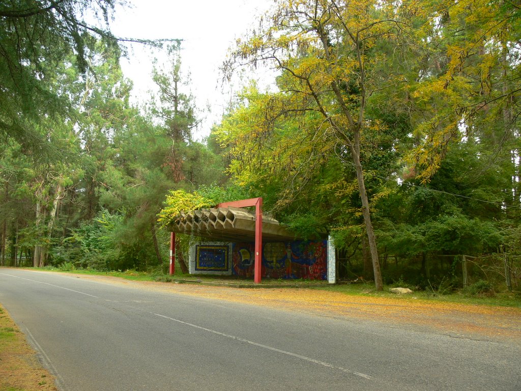 Автобусная остановка на улице Гочуа, Пицунда