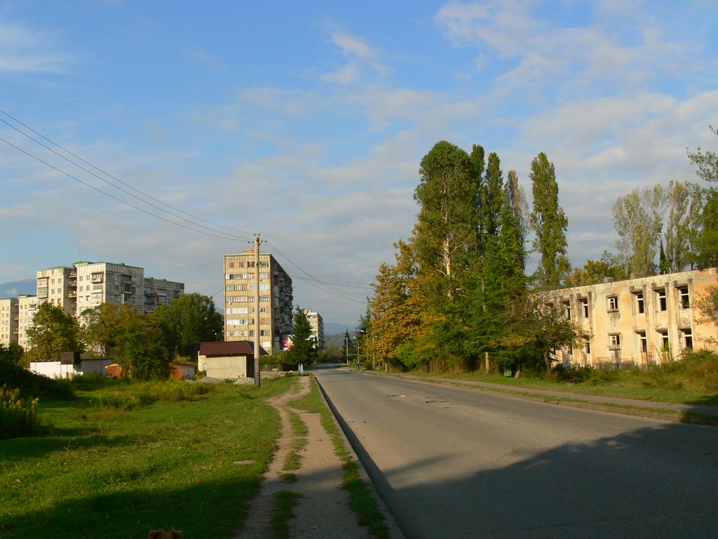 Пицунда, дорога к рынку