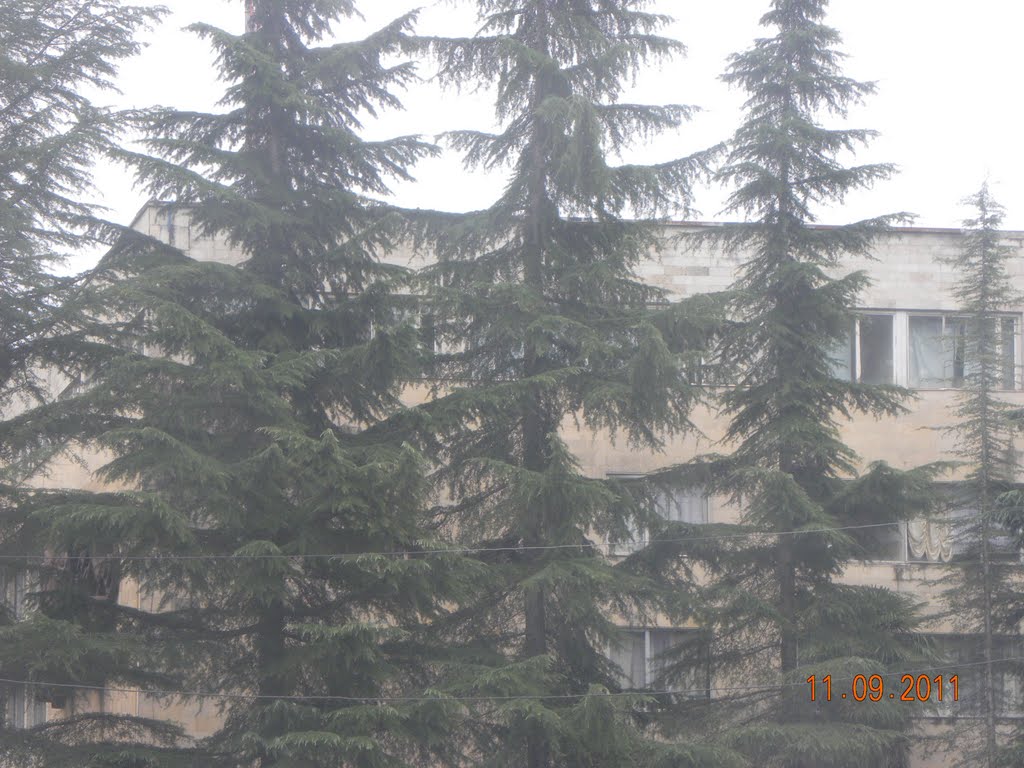у дороги