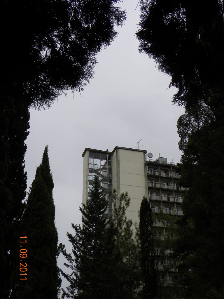 гостиница Апсны