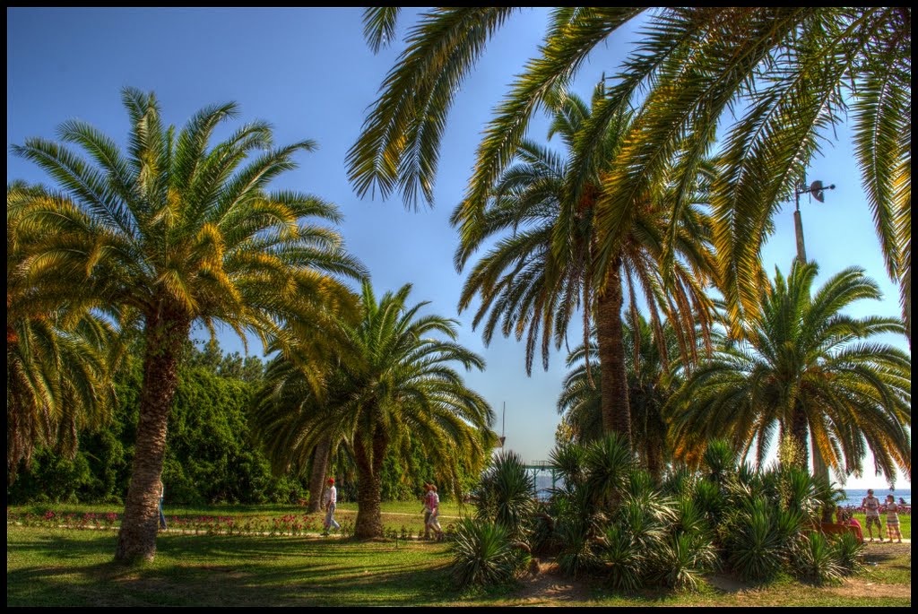 Under the shadow of palms.