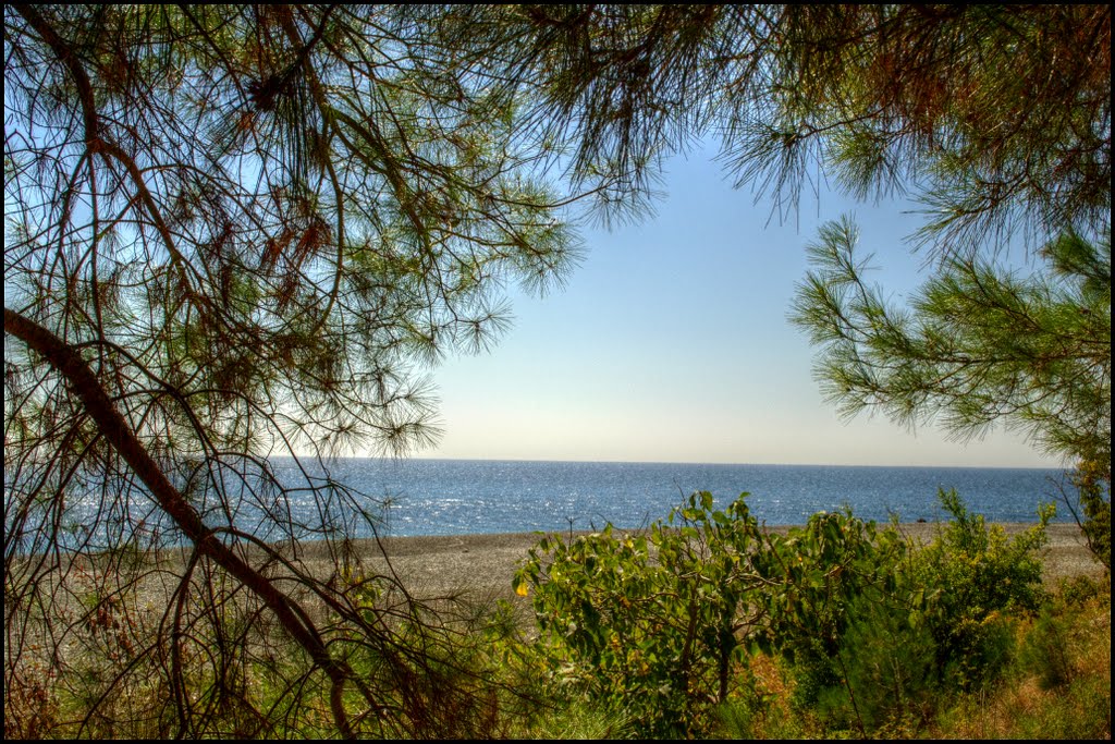 Green window overlooking the blue sea.
