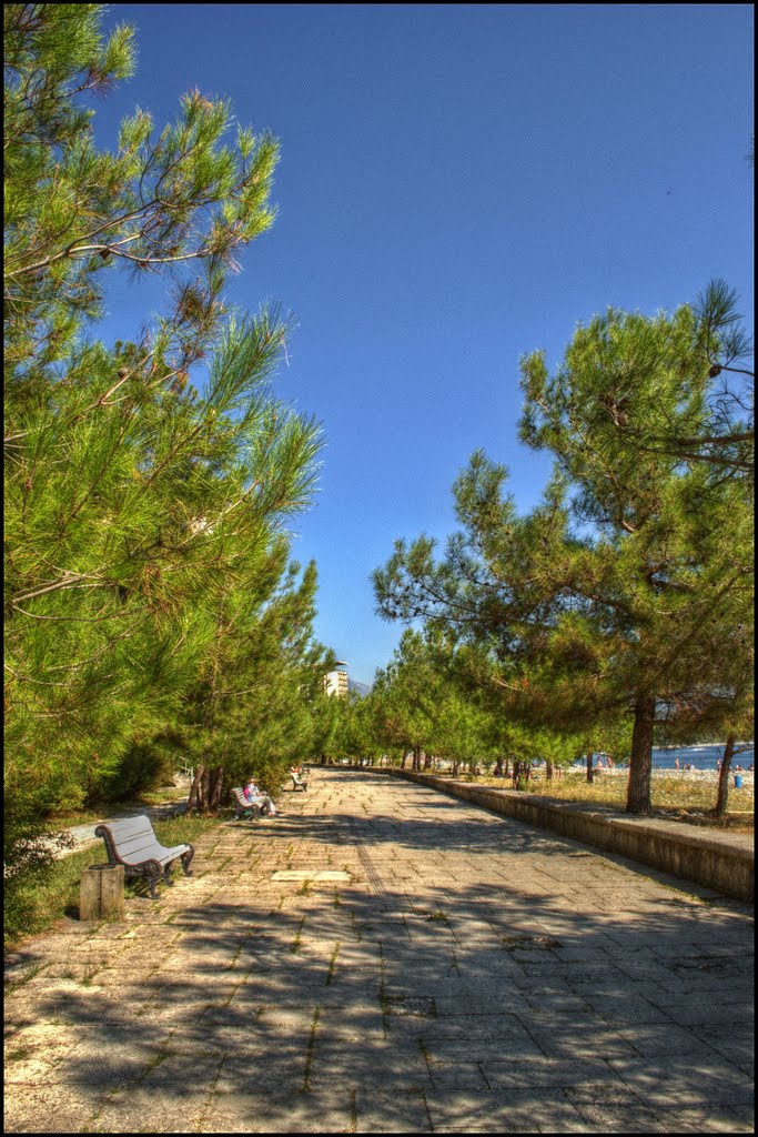 Embankment of Pitsunda.