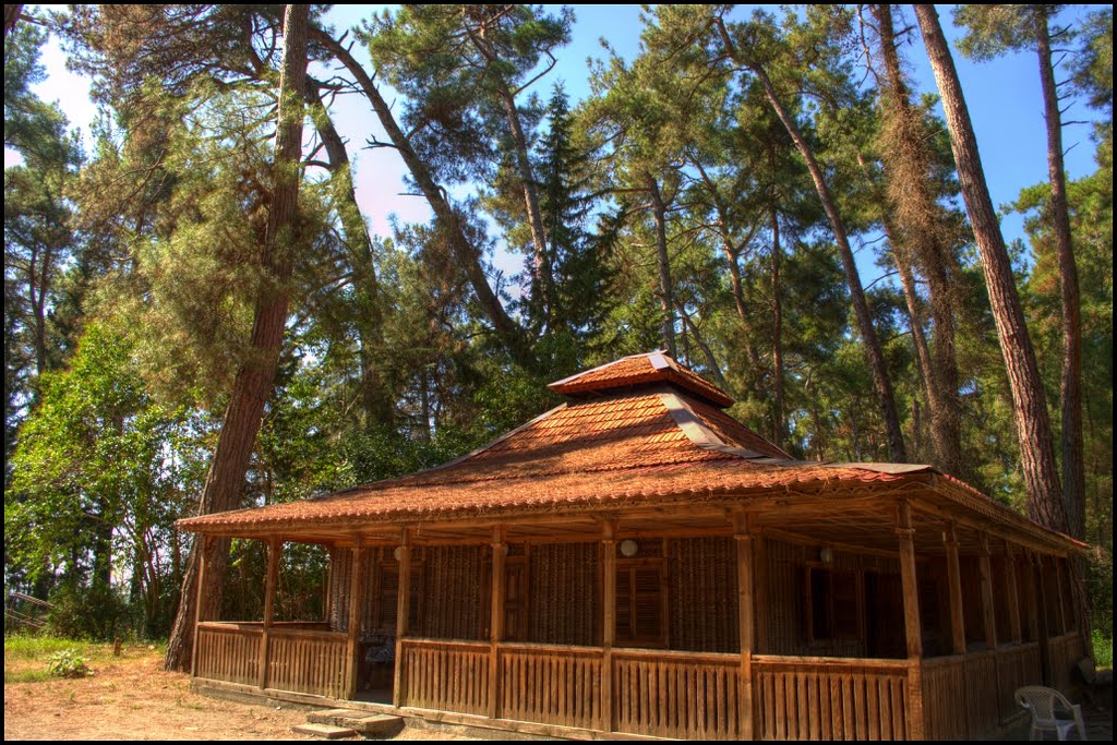 Bungalow