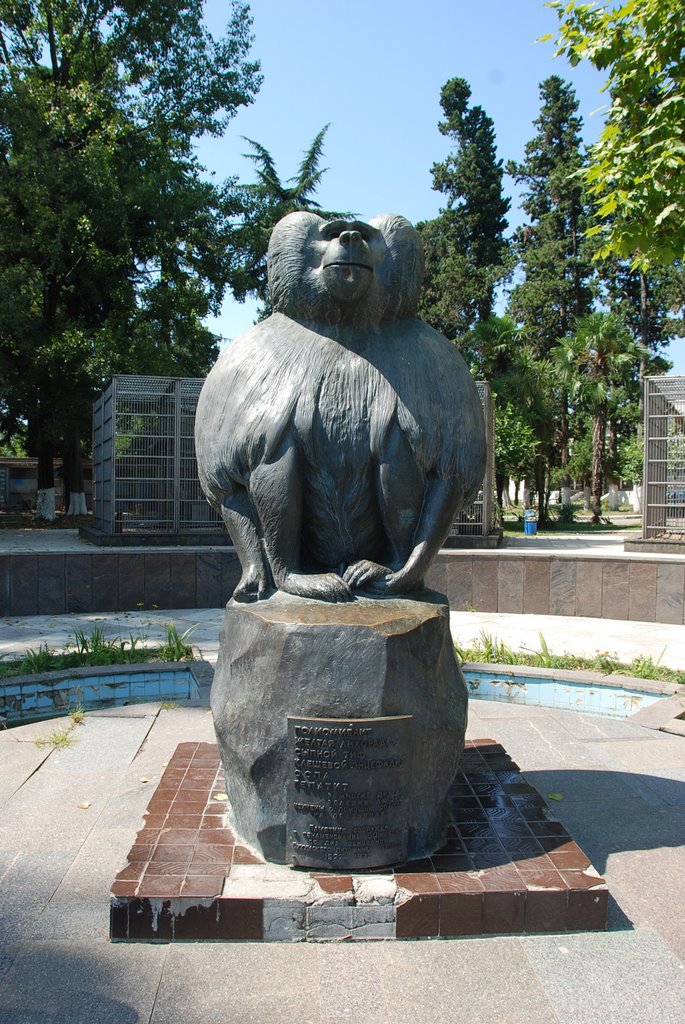 Сухумского питомника обезьянник