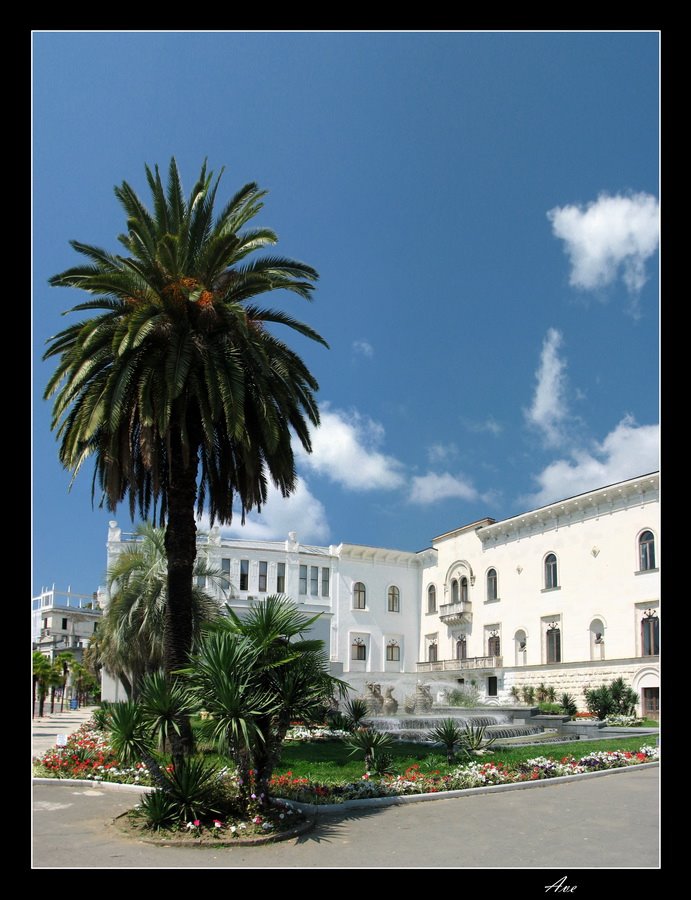 Abkhazia. Sukhumi. Hotel "Ritsa" and fountain with griffins.