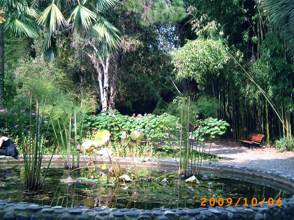 Botanical Garden in October