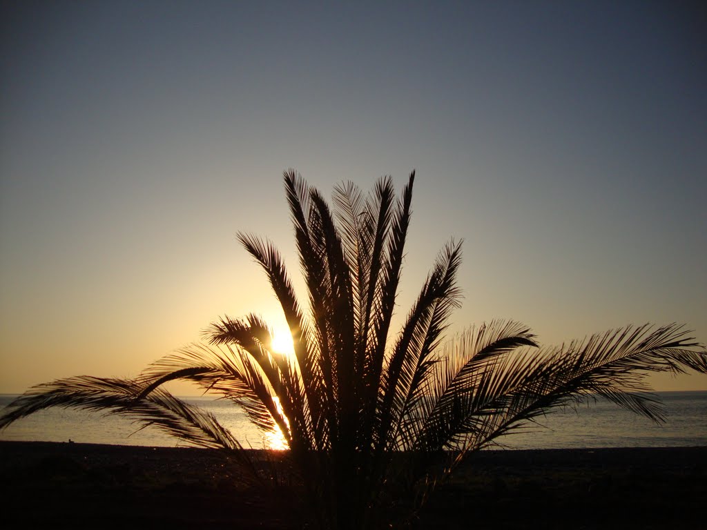 Batumi Sunset