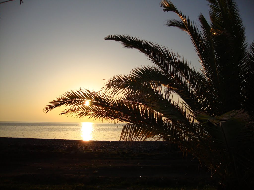 Batumi Sunset