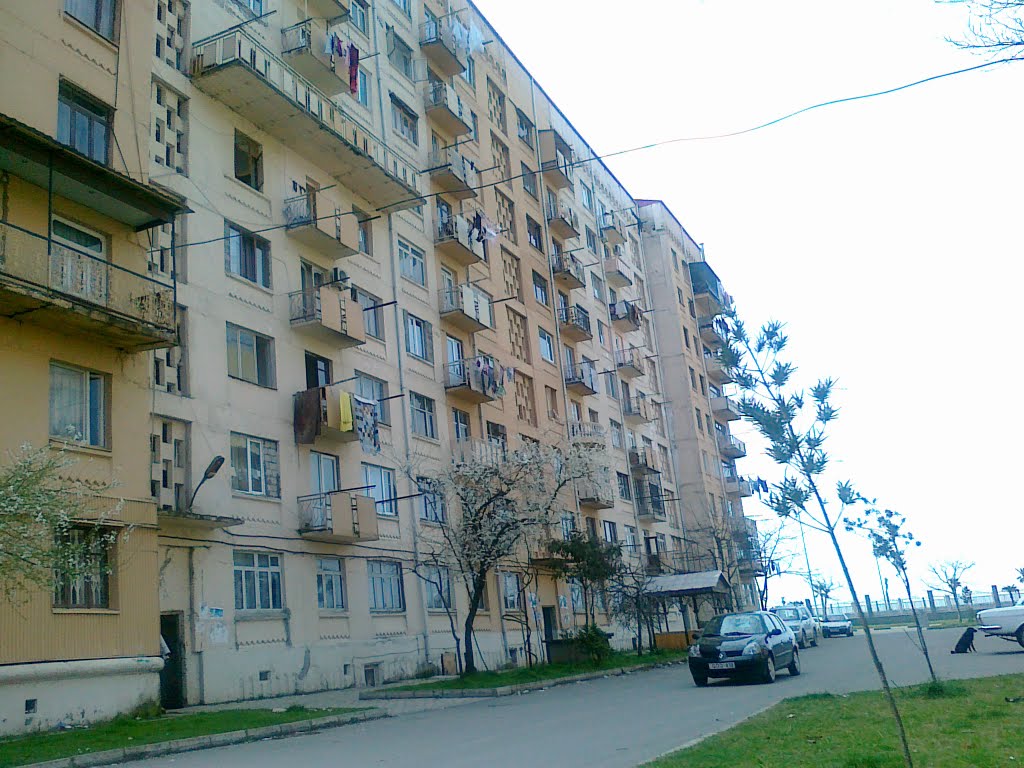 himshiashvili